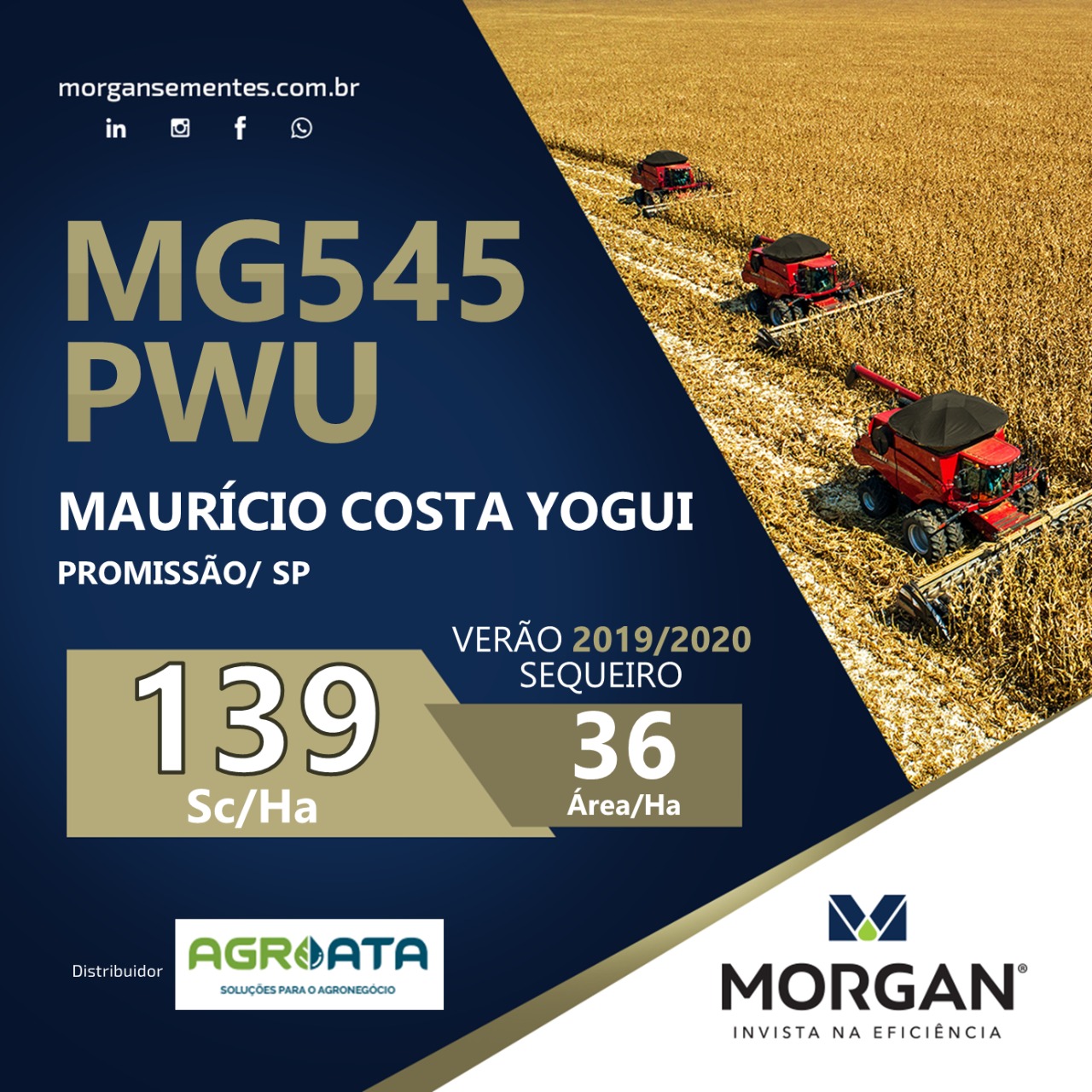 Resultado em campo com o cultivar MG545 PWU
