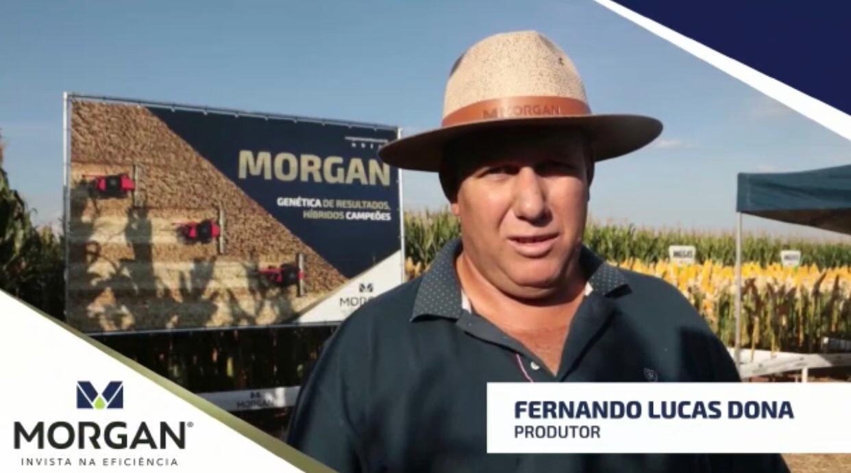 Depoimento do produtor Fernando Lucas Dona, de Santo Antônio do Aracanguá-SP