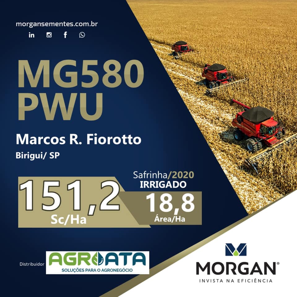 Resultado com o híbrido MG580PWU na cidade de Birigui-SP